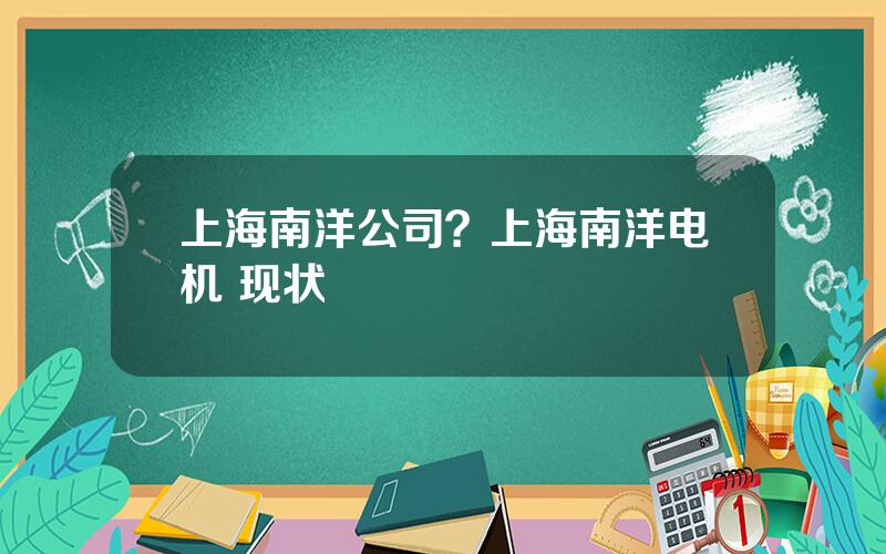 上海南洋公司？上海南洋电机 现状